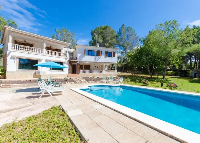 Your House Can Marques